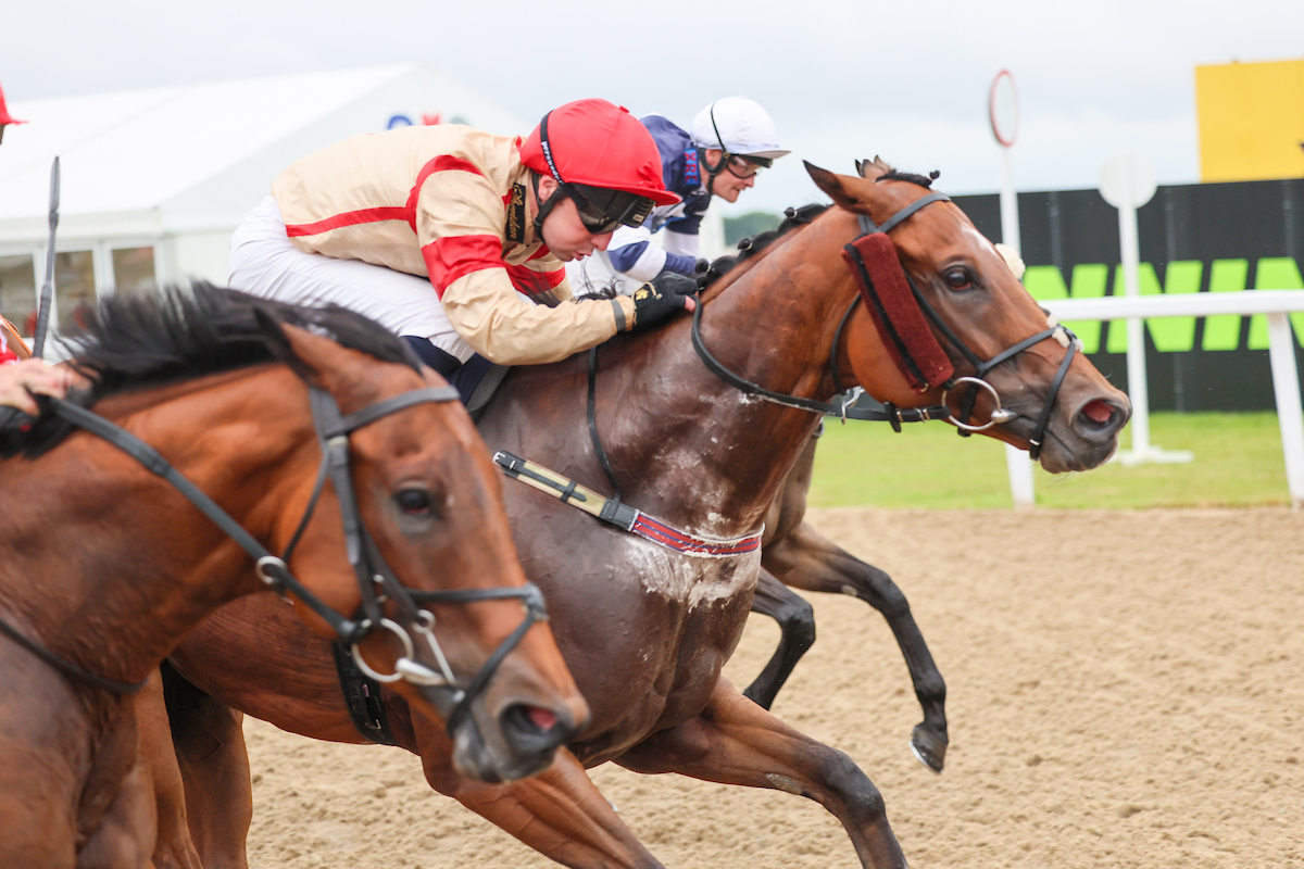 One runner today. Nelson Gay heads to @WolvesRaces, aiming to build on his course and distance second just before Christmas. @CliffordleexLee is back in the saddle. Good luck to connections.