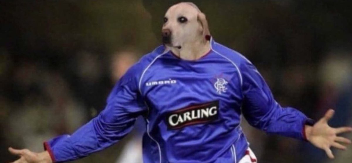 Out of Context Human Race (@nocontexthumans) on Twitter photo 