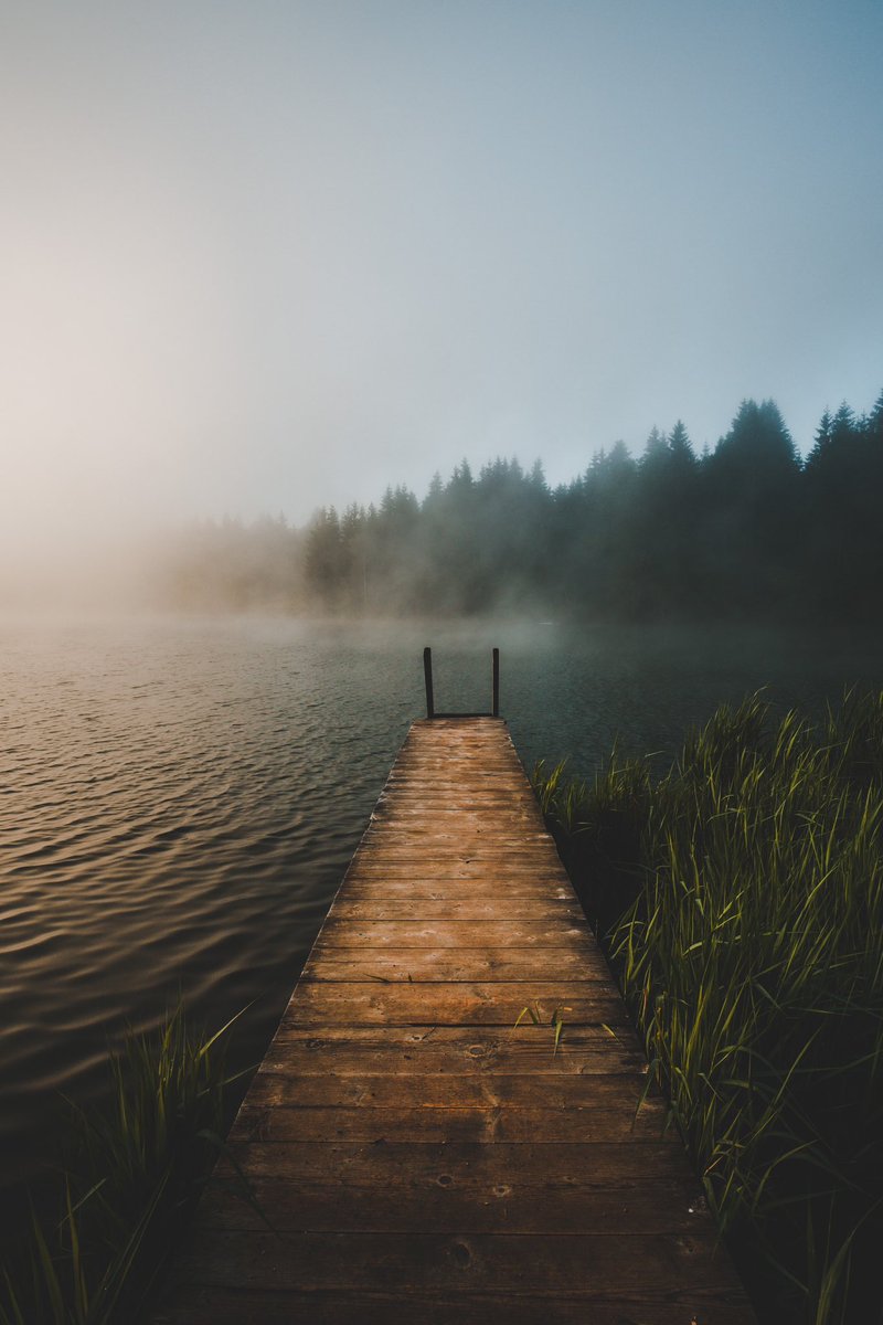 Florian Grieger 🏠🏔 tweet media