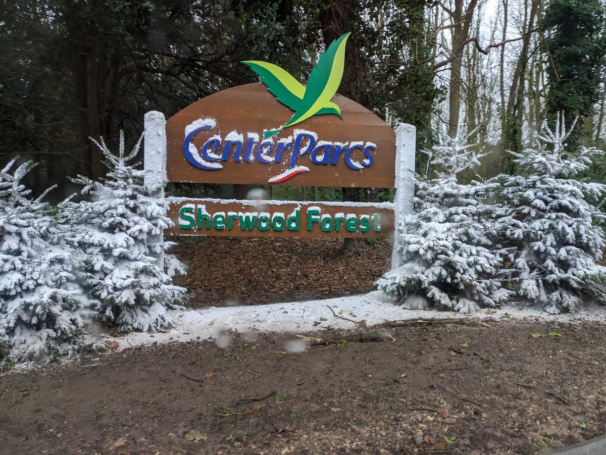 Ready for a fun few days, seeing the new year in 🎆🌿