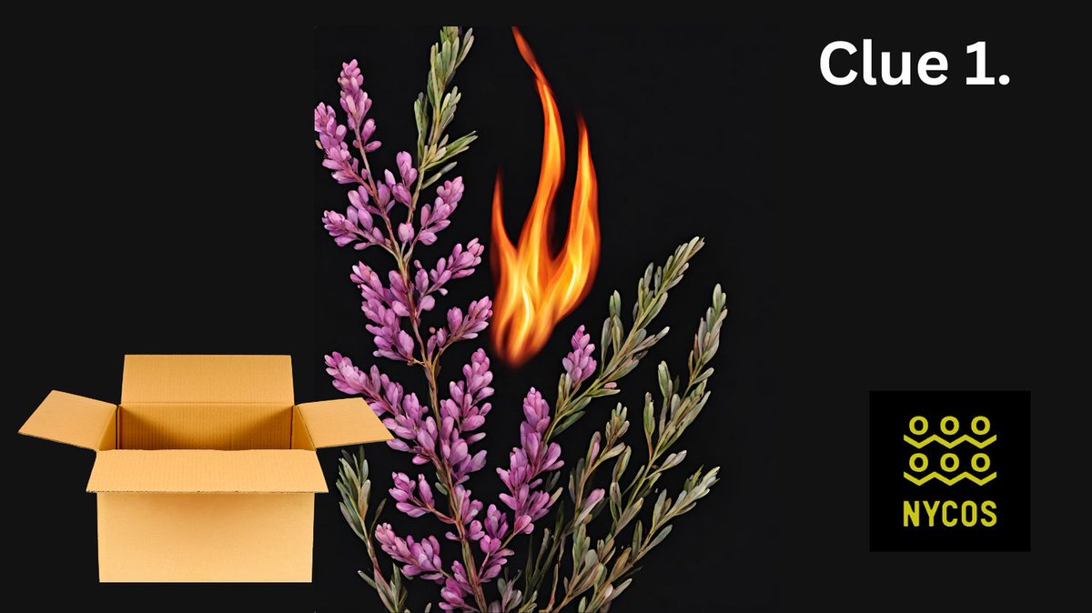 Hope you all had a lovely Christmas. Here's your first clue.