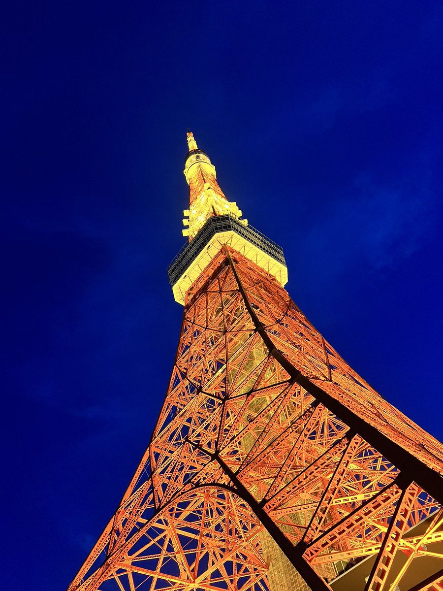 ジム帰りの東京タワー🗼
今日はジムに行ってプロテイン飲むそんな食生活だけど、また明日から暴飲暴食なんだよなー💦