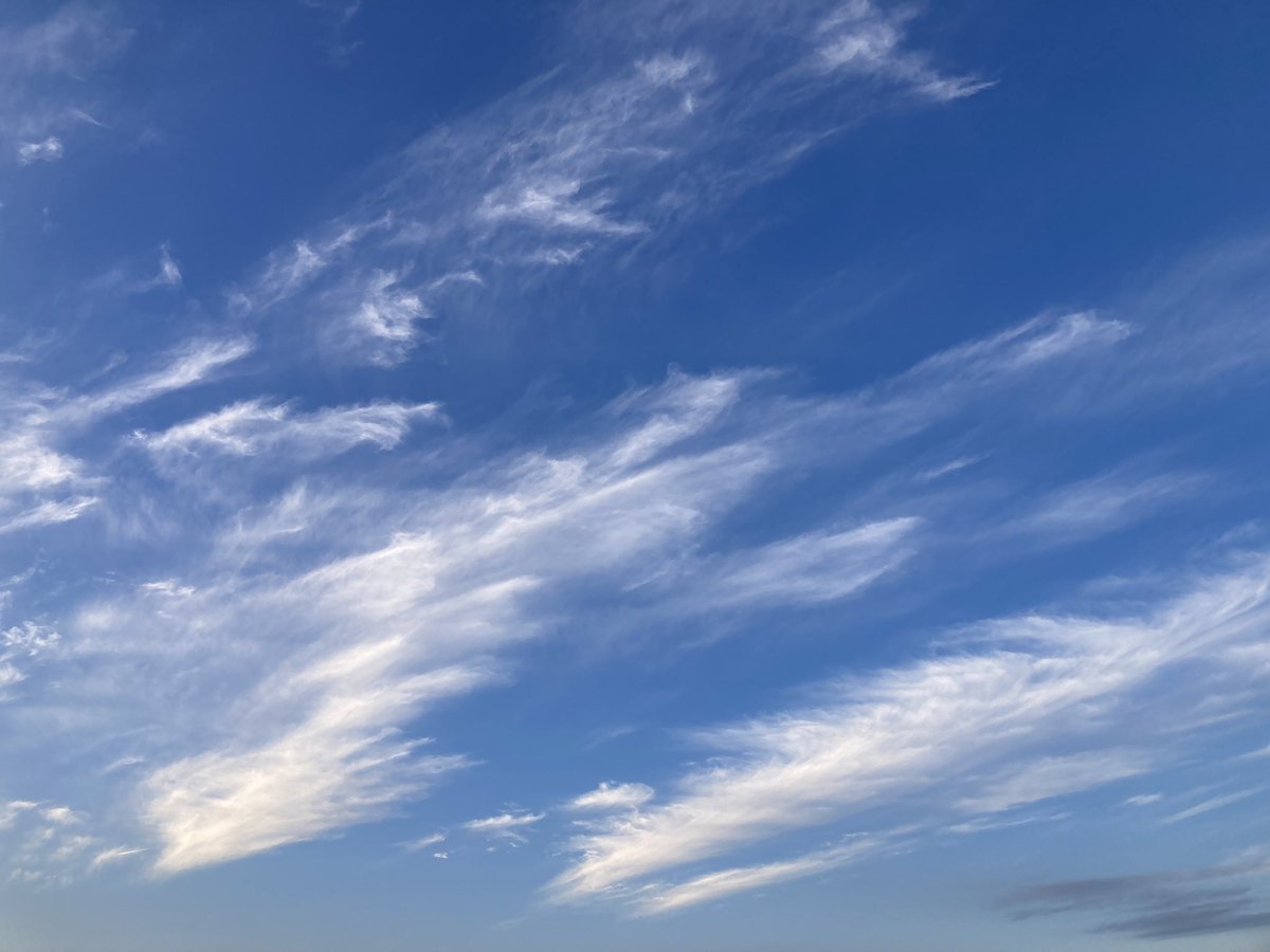 bluejam_mix's tweet photo. Niigata city 2023 Dec.

#niigata #sky #clouds
#新潟市 #冬の空 #雲 https://t.co/iFhIeKZqlm