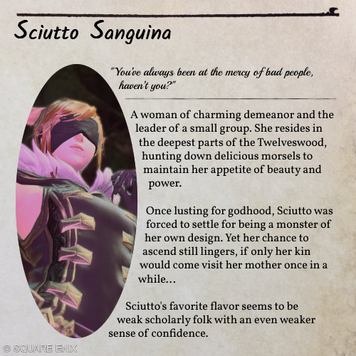 hammy TO 🦋 tweet media