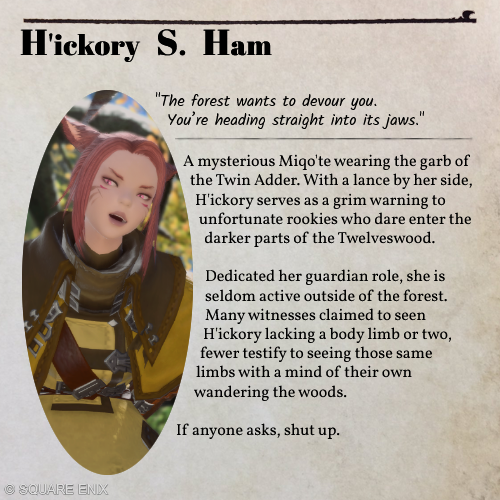 hammy TO 🦋 tweet media