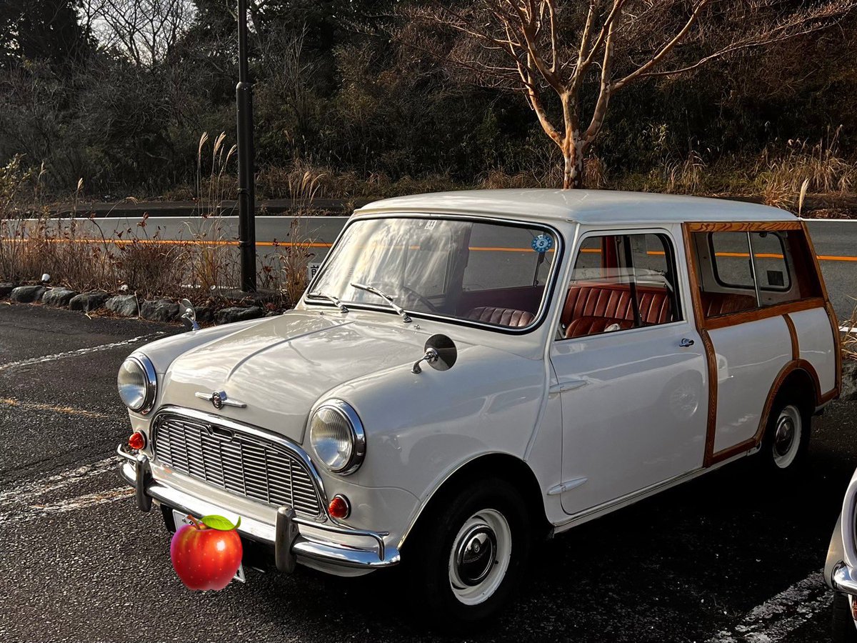 佐藤愛美🐿Ami Sato tweet media