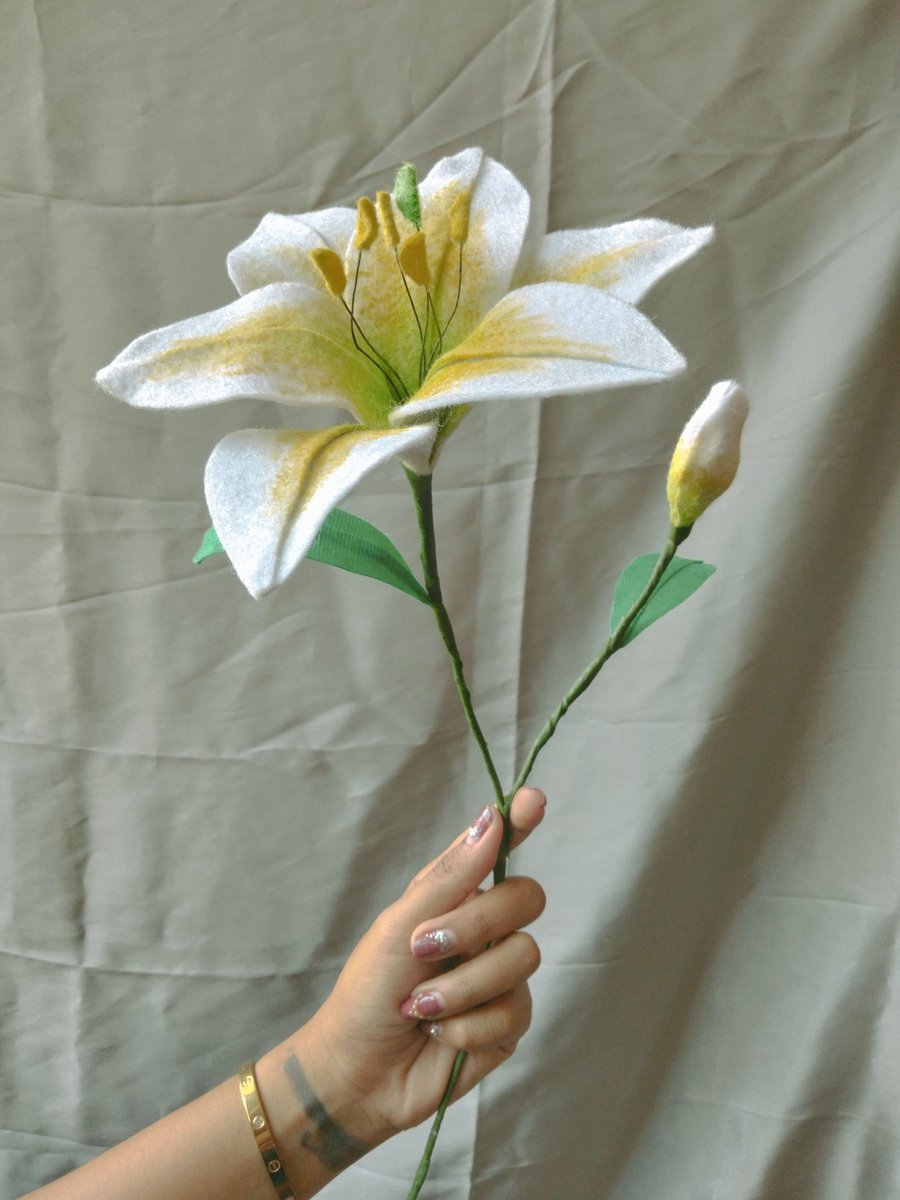 Lilly flowers handmade by Me

Hand model by my sister

#feltflower #craft #handmade #diy #flannelflower #flowercraft