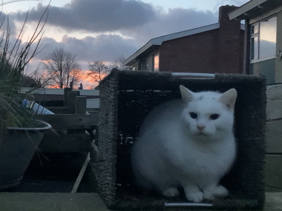 Zilmarillion tweet media