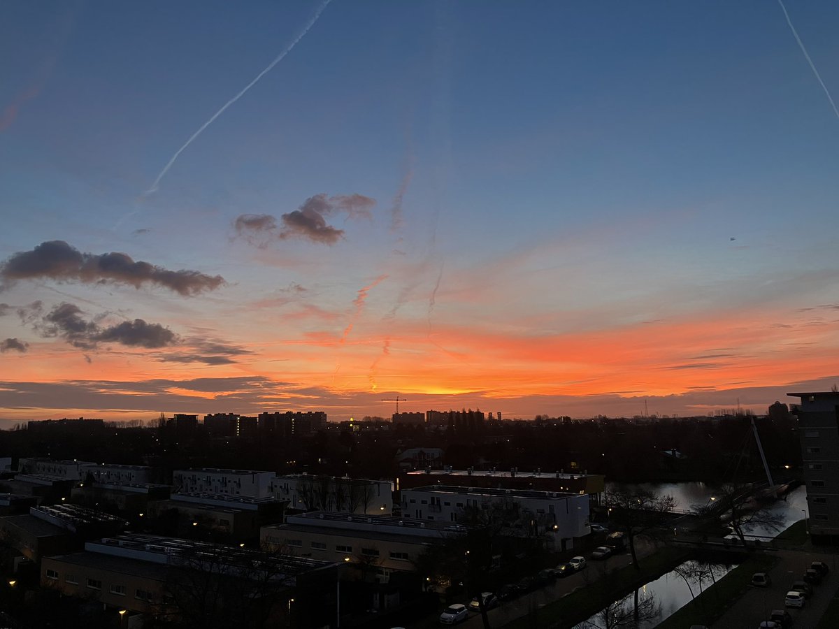 Adrie Potuijt tweet media