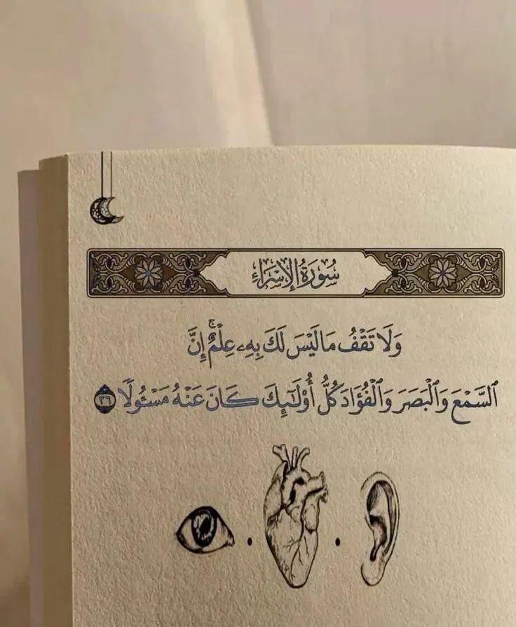 كُلُّ أولئك كَانَ عَنْهُ مَسْئُولًا🤎.