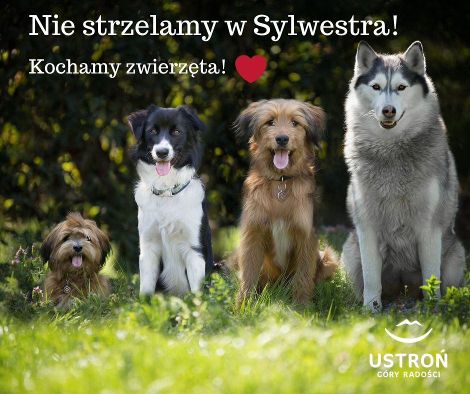 Przemysław Korcz - Burmistrz Miasta Ustroń (@korczustron) on Twitter photo 