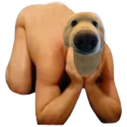 BoopSolana's tweet photo. Boop I C U!
$BOOP, #BOOP, #BOOPING
https://t.co/ZX8DDldlsX https://t.co/FWvZtX2tni