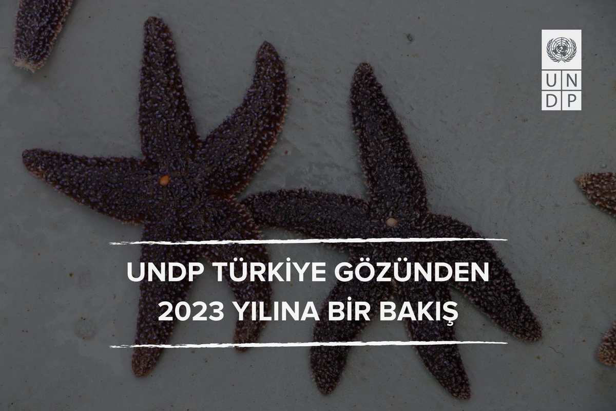 #KüreselAmaçlar'a ulaşmayı hedeflediğimiz 2030'a bir adım daha yaklaşıyoruz. 🎯❗ #2024 yılında sürdürülebilir kalkınma için daha büyük kararlılık, motivasyon ve çözüm odaklı yaklaşımlarla yürümeye hazırlanırken, 2023'de neler yaptığımıza göz atalım. 👉 undpturkiye.exposure.co/undp-turkiye-g…