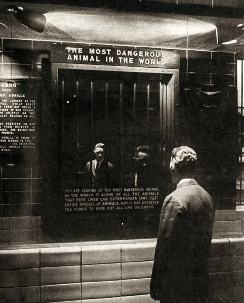 OverThinking_ar's tweet photo. @fasc1nate The words: "The most dangerous animal in the world" were printed in red on top of a cage. Behind the bars of the cage, there was a mirror. The exhibit allowed the human visitors to peer into the cage and see their reflection — marking them as "most dangerous". https://t.co/Pd0myDwlk7