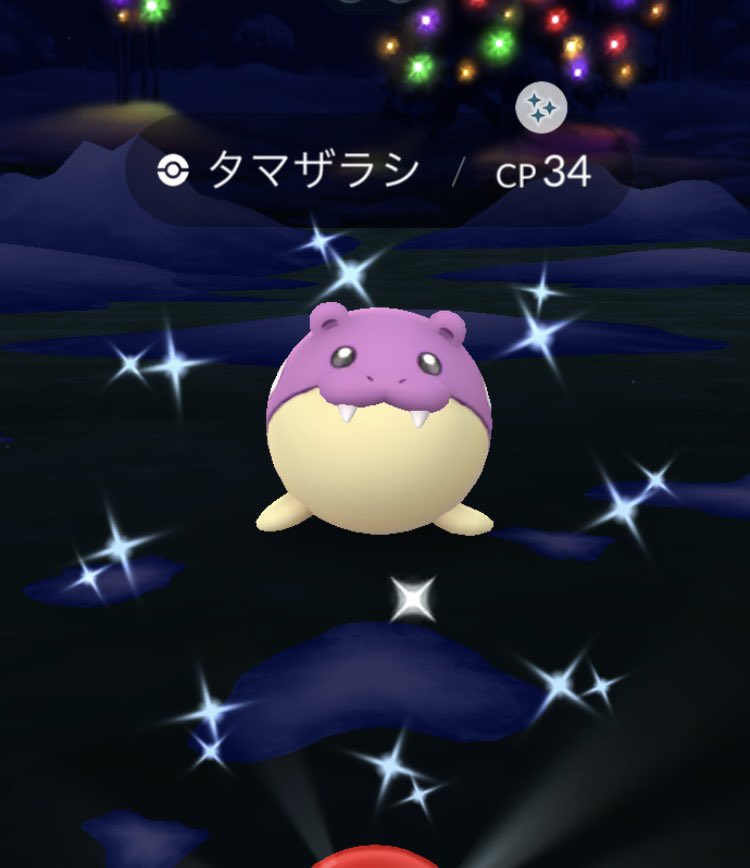 マフラー🧣どこかに落ちてませんか？🥲✨