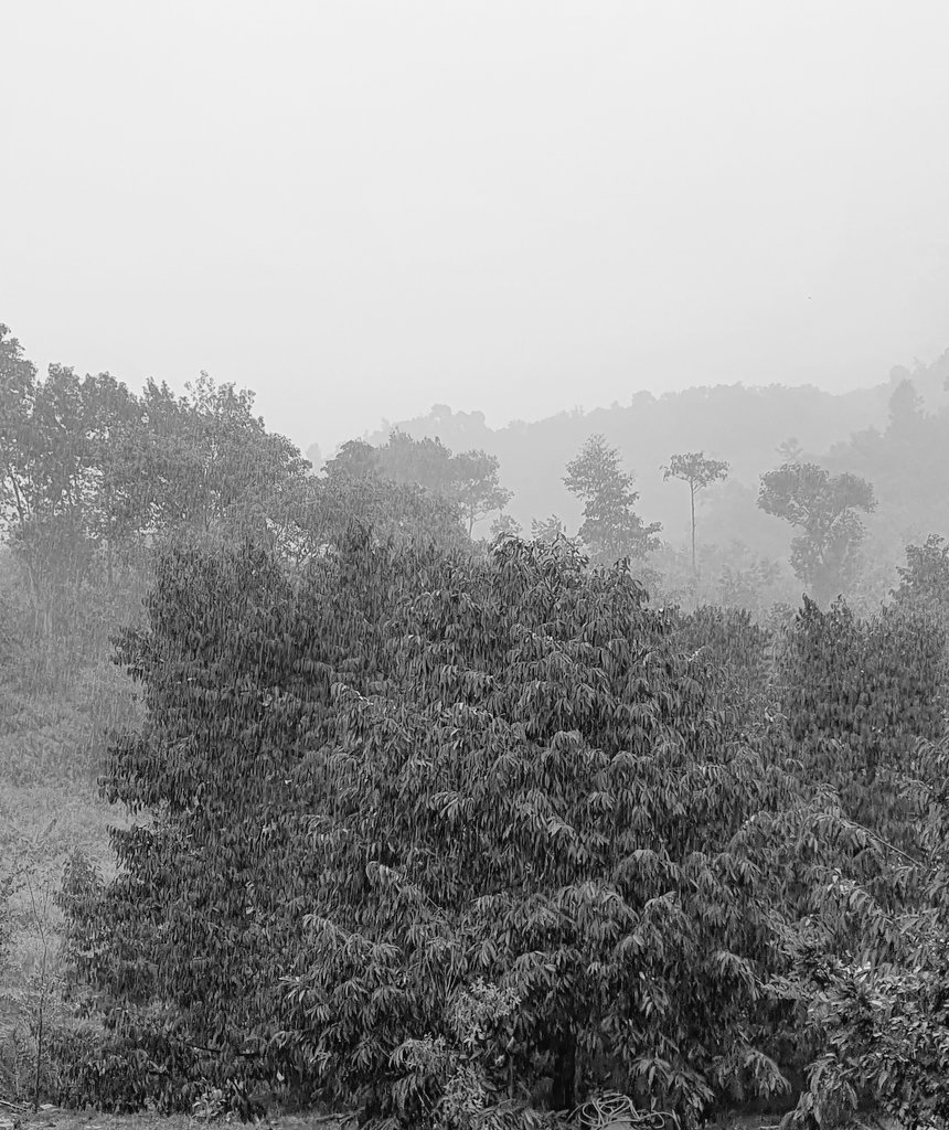 1 2 3 Dô!!!
3 2 1 Uống!!!