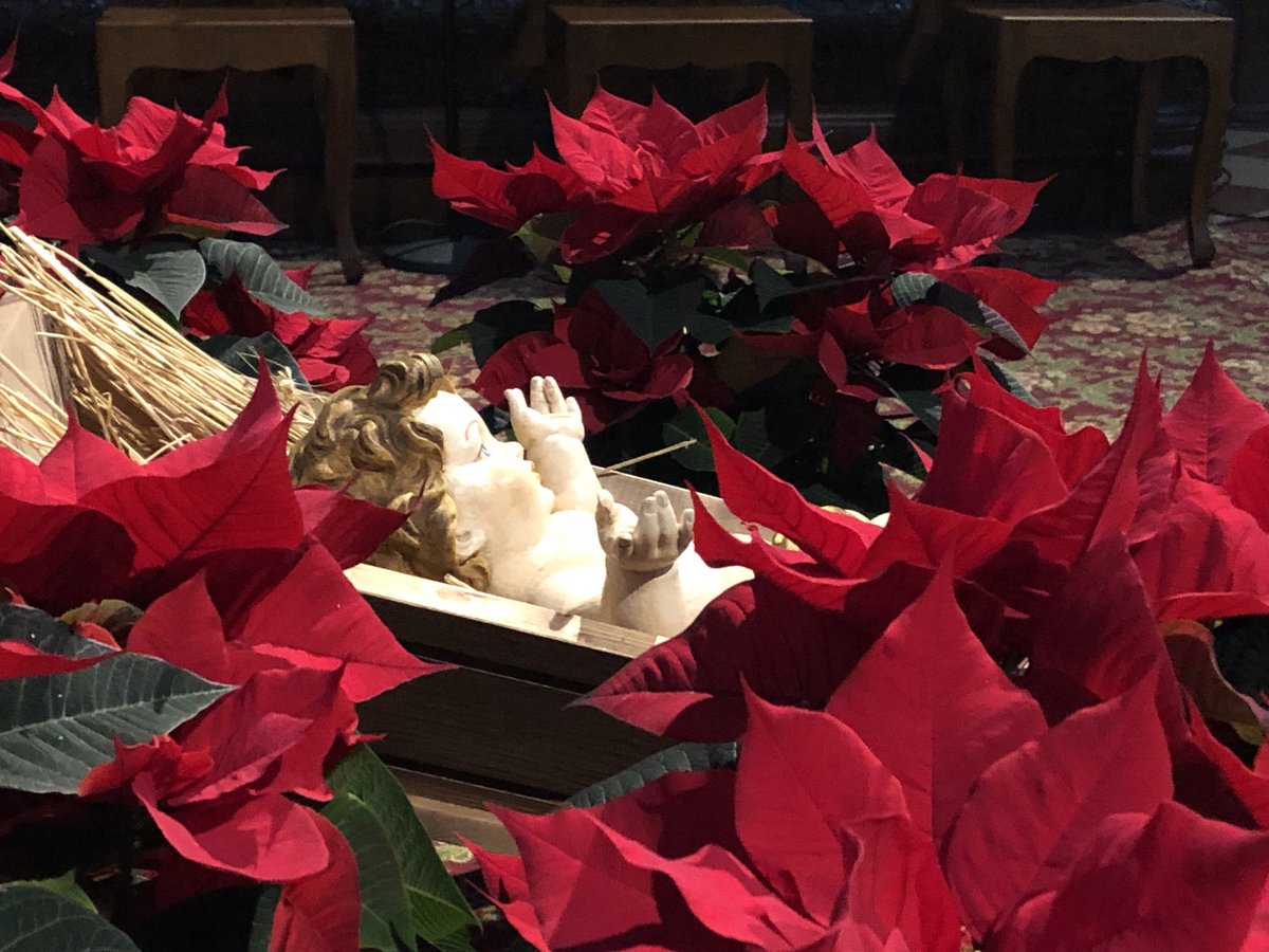 goettweig's tweet photo. Bei allem Respekt vor den abgeräumten Weihnachtsdekorationen in den Auslagenfenstern: Sie dauert bis zum Sonntag nach dem 6. Jänner, die Weihnachtszeit. https://t.co/pYRwdW9Zbn
