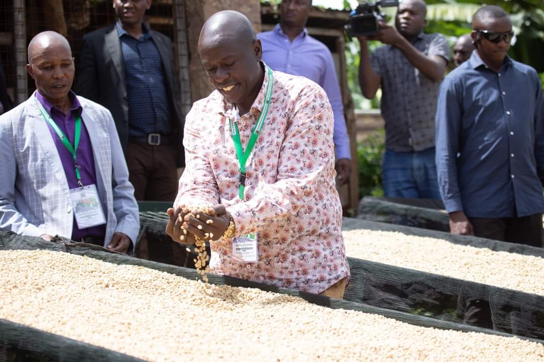 elamiso's tweet photo. Mambo ya Kahawa iko sorted as Gachagua signs deals that will see our Coffee get direct markets internationally, this will benefit farmers.
#AngelaAmbithoTheQuack
#RiggyGOnAssignment
#DeliveringThePlan
#Infotrack https://t.co/70oZ3F6gWC