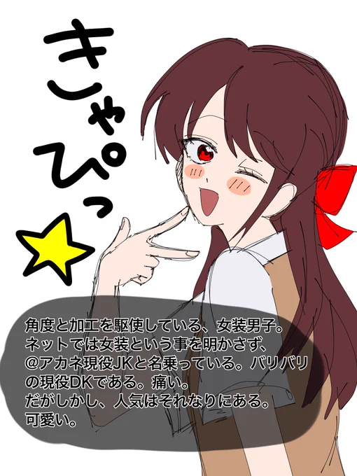 女装崇拝型ヤンデレ君です。
自己肯定感低めな子が可愛い。 
