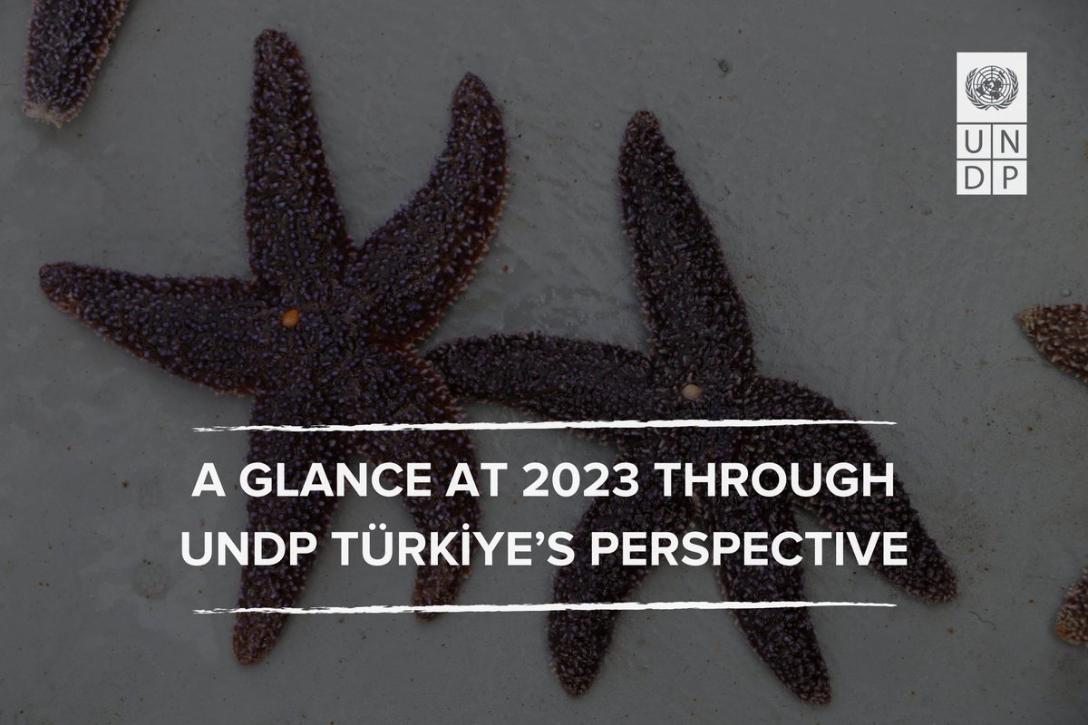 We are one step closer to achieve the #2030Agenda. 🎯❗ As we prepare to march towards sustainable development in #2024 with greater determination, motivation, and solution-oriented approaches, let's take a look at our work in 2023. 👉 undpturkiye.exposure.co/a-glance-at-20…