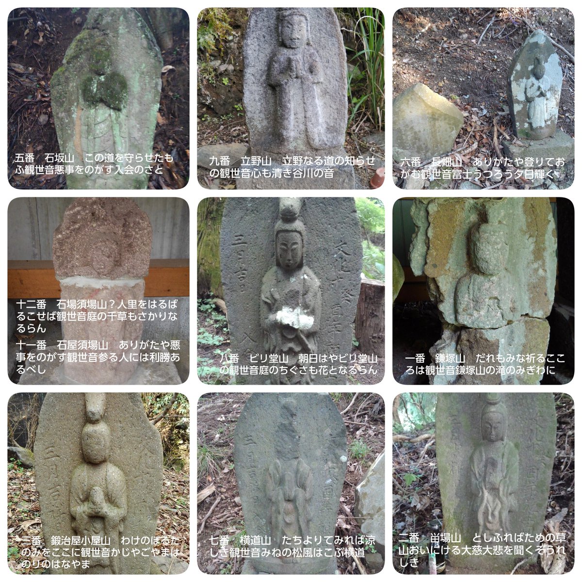 まつお tweet media