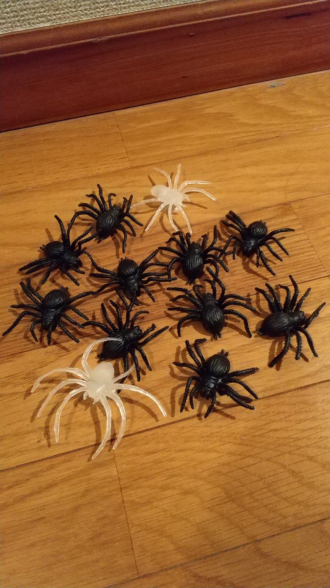 オニヤンマ君😁→この夏、R134沿いブヨ除けに一定の効果アリ👌

昨年、DAISOで買ったハロウィングッズのクモ🕷️（黒×10匹、蓄光×5匹）
→キッチンの角っこに配置→年間通してゴ○ブリ🪳対策にバツグンの効果アリ👍👍👍（マジです😁）

#オニヤンマ君