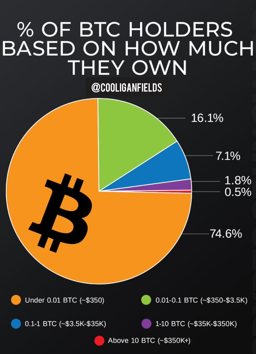 Percentage of #BTC holders based on how much they own.