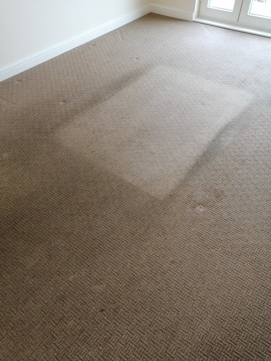 A really heavily soiled lounge carpet, i don't think they ever moved the rug?