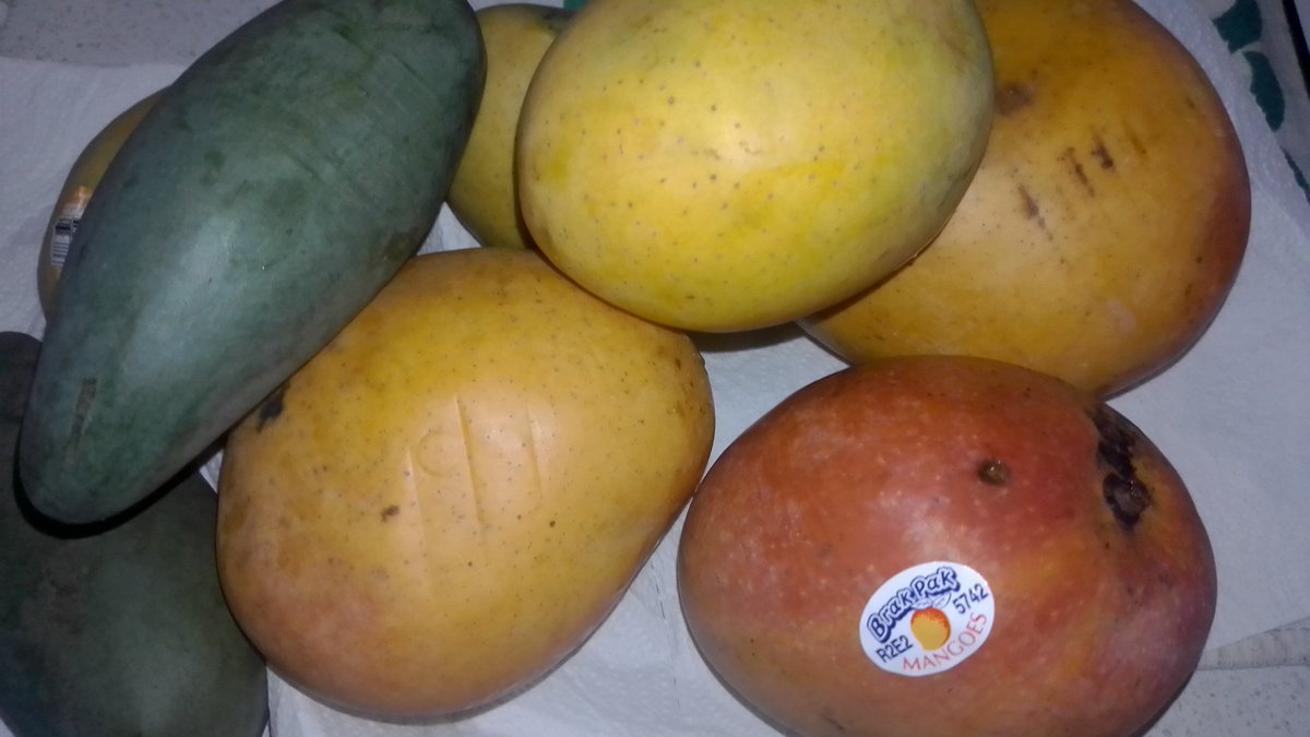 krtcano11's tweet image. Preparado 🥭 en buena noche 🪅