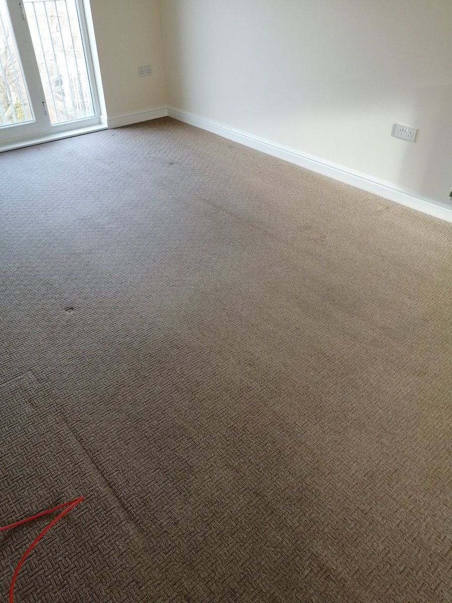 Lounge carpet after cleaning.
