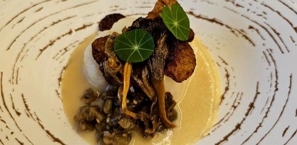 La cocina del bosque (de pinos) del chef recolector Miguel Ángel de la Cruz.
<a href="/MACruzLaBotica/">Miguel Ángel</a> lavanguardia.com/magazine/exper…