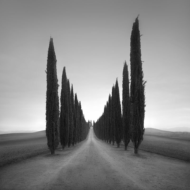 Archillect (@archillect) on Twitter photo 