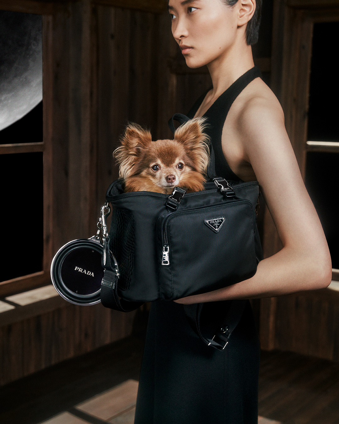 Prada dog accessories hotsell