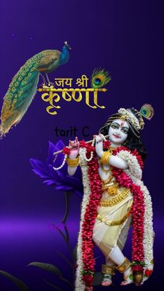 सम्पूर्ण बन्धु बान्धव तथा आत्मिय मित्रहरुमा संन्ध्याकालिन काे समयमा आ-आफ्नाे  बाँस स्थान मा साँझ काे बत्ति बाल्ने समय भएकाे हुँदा संन्ध्याकालिन नमस्कार  🙏, जय श्रीकृष्ण