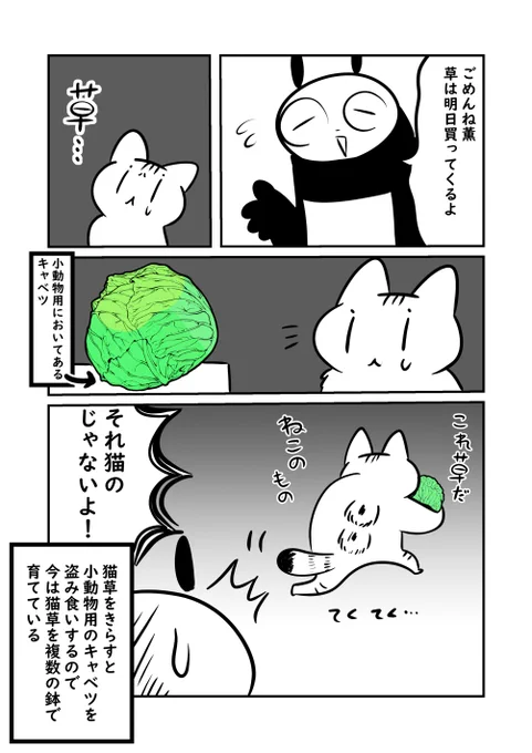 草はねこのもの😾2/2