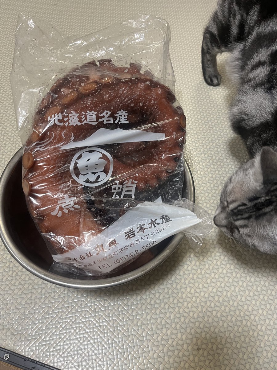 najirane's tweet photo. 毎年晦日には同じことしか書いてないような気もするけど(笑)、まぁ今年も無事の年越しできそうと言う事で、皆様も良いお年を。
#岩本の煮鮹 #のっぺ https://t.co/uIG0qdTvSO