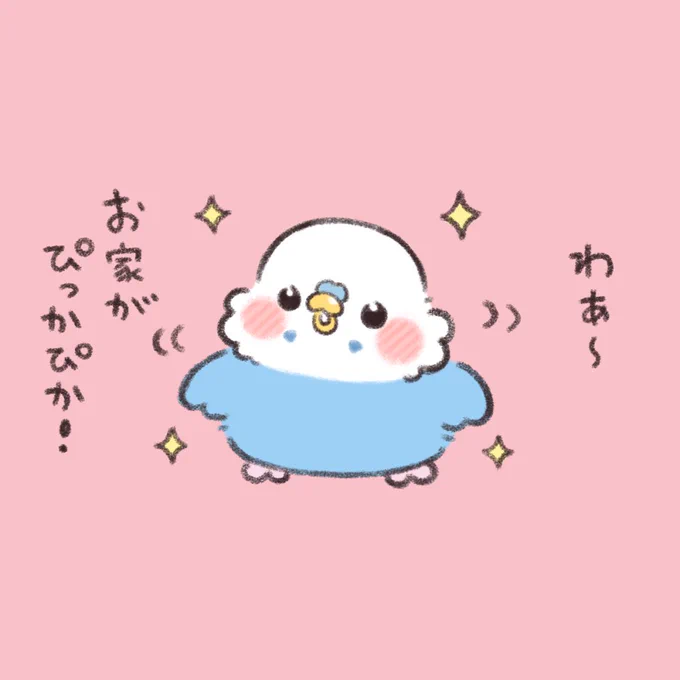 かいぬち。お掃除ありがとう💕

#セキセイインコ 