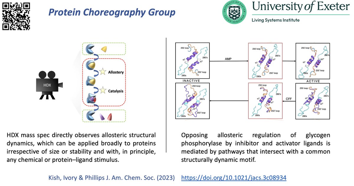 JJ Phillips (@proteinmotion) on Twitter photo Delighted to present our new study resolving local structural dynamics that occur during *both* (in)activation of GlyP - distinct processes mediated by a common structural motif. Congrats Monika and Dylan <a href="/LSI_Exeter/">LSI Exeter</a> for this big effort!
pubs.acs.org/doi/10.1021/ja… Delighted to present our new study resolving local structural dynamics that occur during *both* (in)activation of GlyP - distinct processes mediated by a common structural motif. Congrats Monika and Dylan <a href="/LSI_Exeter/">LSI Exeter</a> for this big effort!
pubs.acs.org/doi/10.1021/ja…