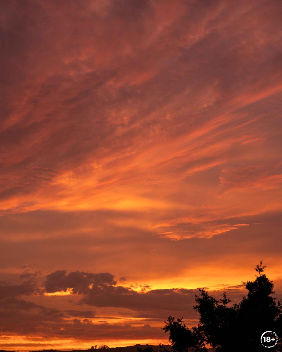 #CoronaSummerTour in Knsyna 🌅 What a beautiful event 😍
#ThisIsLiving #ad <a href="/CoronaAfrica/">CoronaAfrica</a>