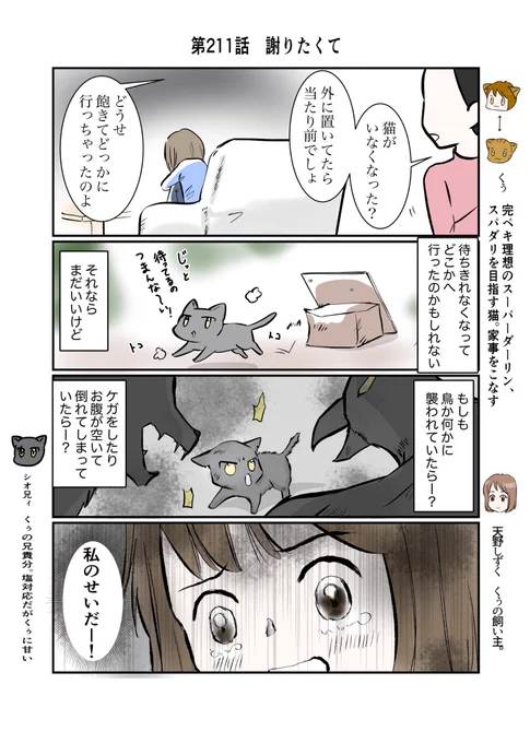 #スパダリにゃんこ
#くぅの日常 第211話
謝りたくて

ハイスペックなスーパーダーリン、スパダリ猫を目指すくぅと、飼い主しずくの日常マンガ。

ずっと気になっていた事を、ついにシオに打ち明けたしずく。言葉が通じないはがゆさにしずくが願うことは…?

#猫マンガ 