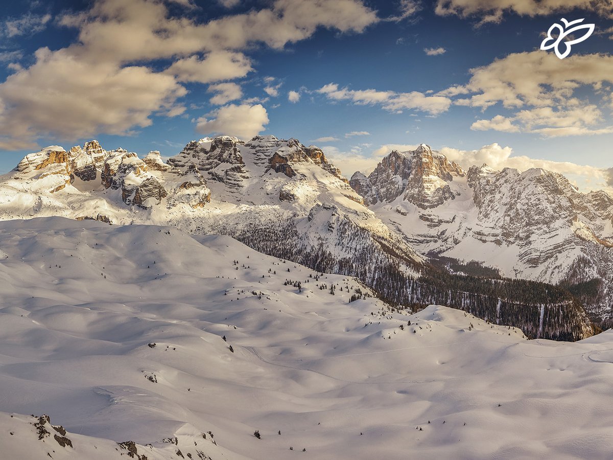 Visit Trentino tweet media