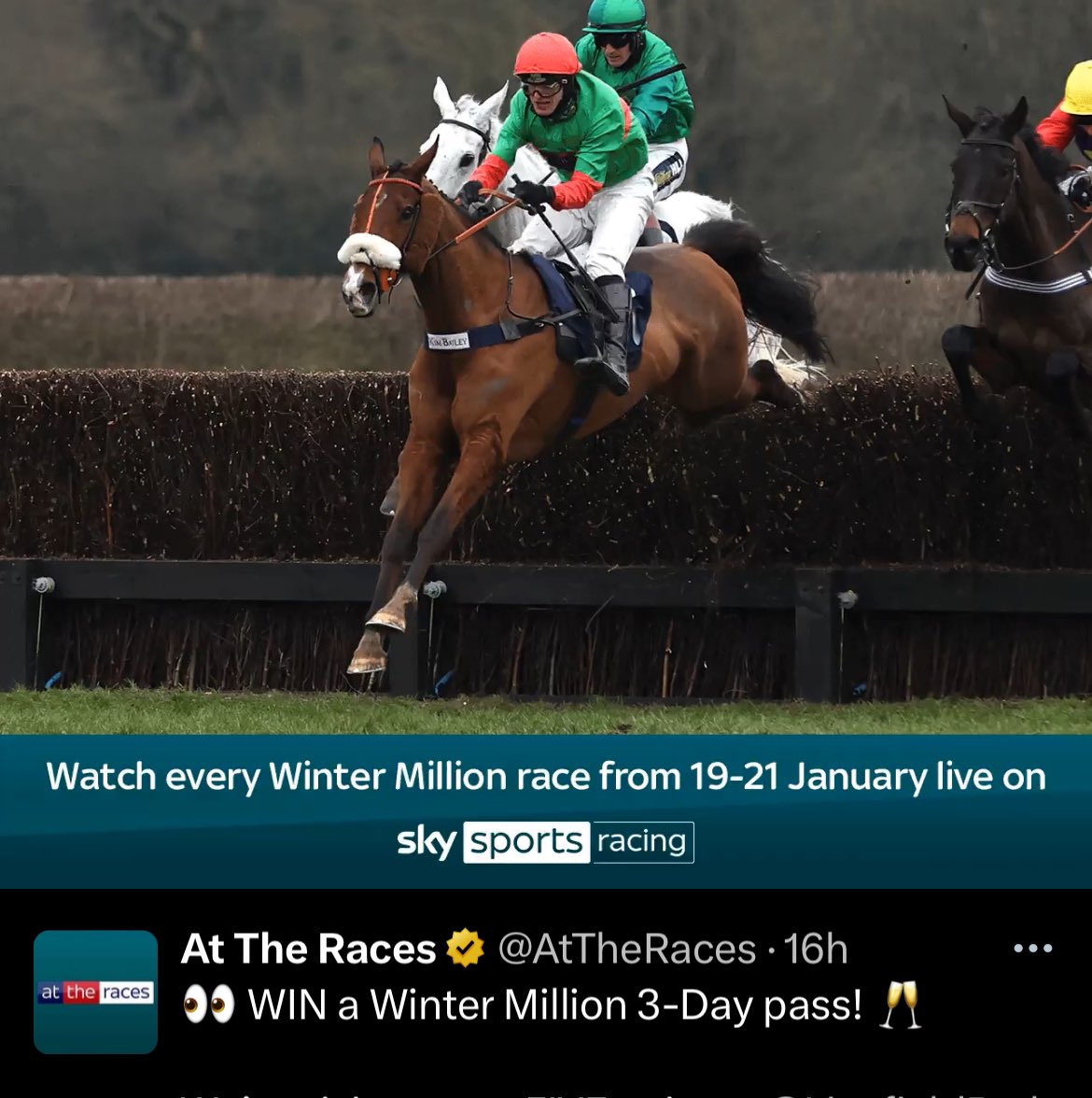 Galloping To Give tweet media