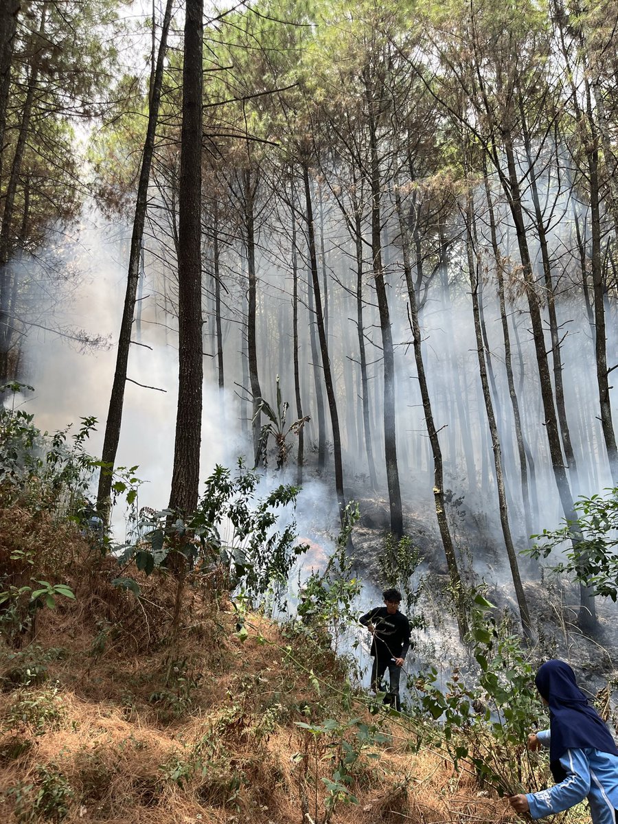 pacar aliya tweet media