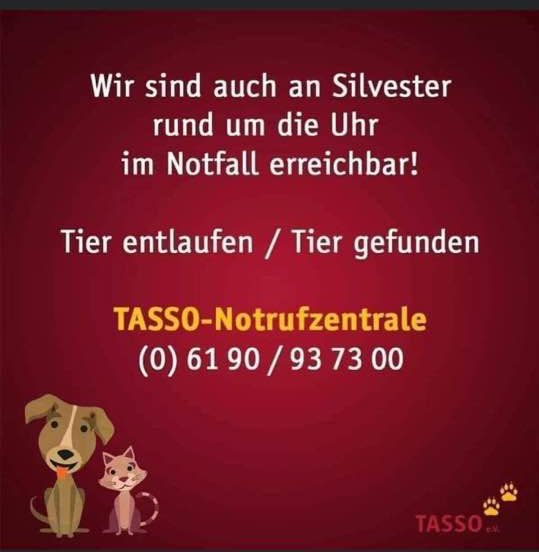 Milch Schnitte tweet media