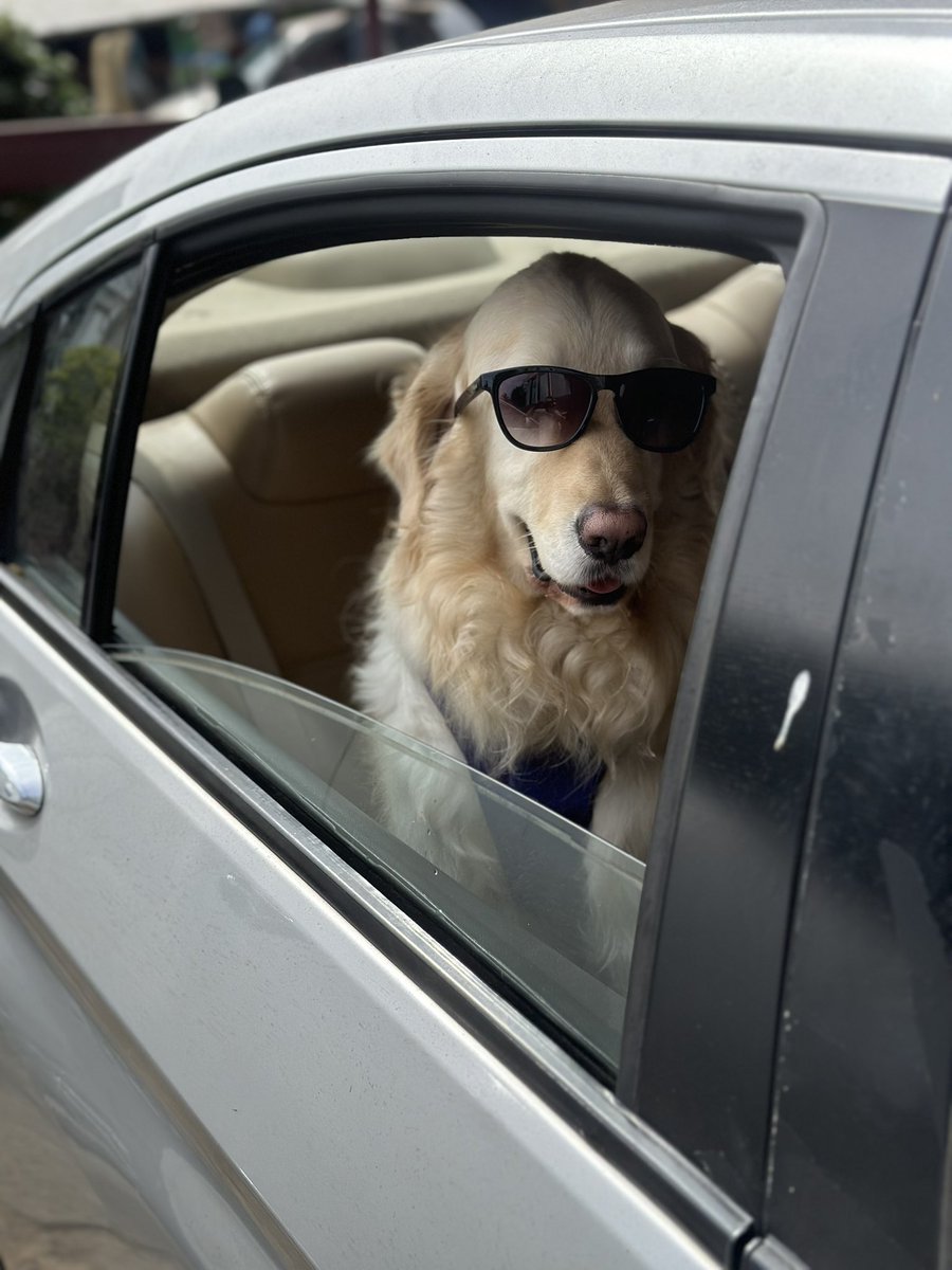 aditiawasthi's tweet photo. Our backseat fashionista https://t.co/68L8Jn5ks0