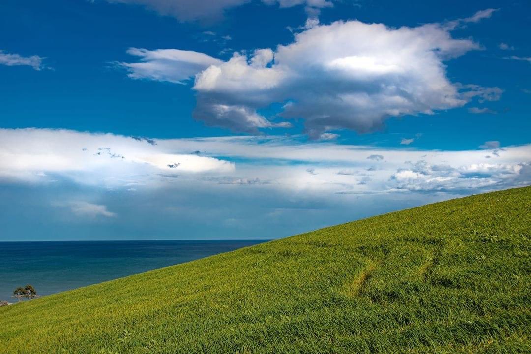 colvieux's tweet image. La destra in #Abruzzo  con un emendamento notturno alla legge di bilancio ha cancellato la Riserva naturale del #Borsacchio nel comune di #Roseto degli Abruzzi (Te) riducendone la superficie da 1100 a 24 ettari. Vi prego di RT e denunciare questo scandalo @AngeloBonelli1