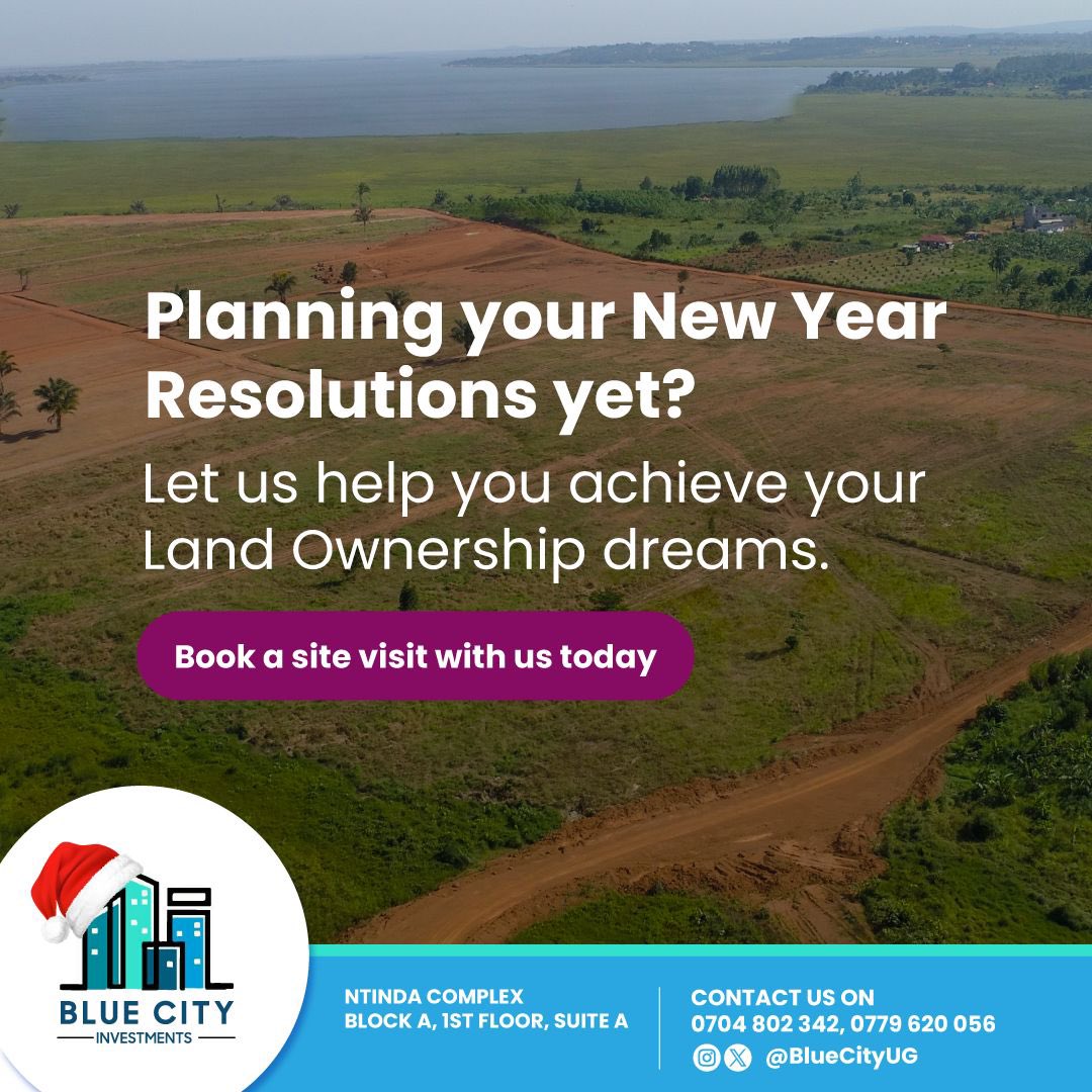 Blue City Investments tweet media