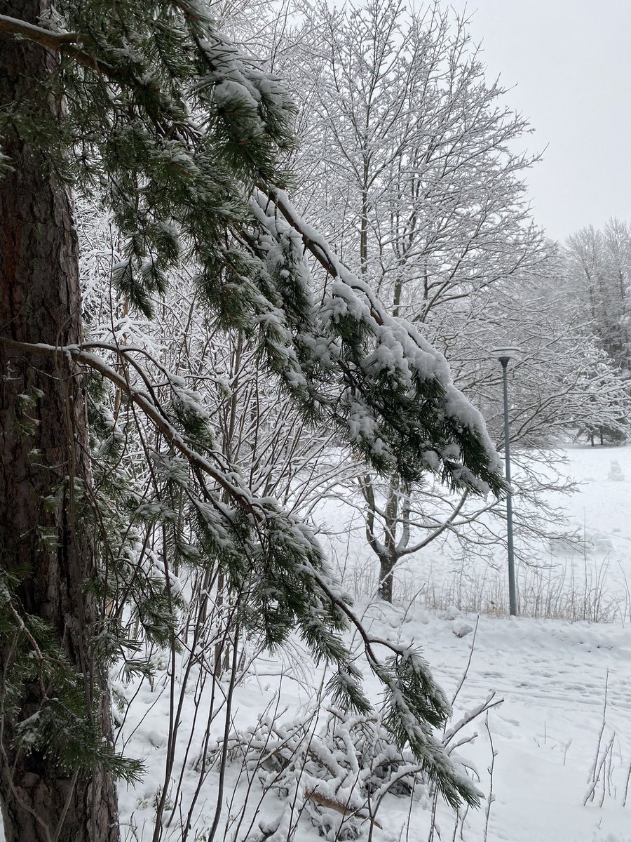 Rachel Cobb tweet media