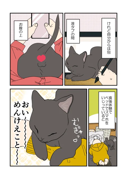 2/2 