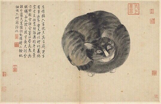 𝐂𝐚𝐭 𝐖𝐞𝐝𝐝𝐢𝐧𝐠𝐬 In China, bringing home a cat was a mix of tradition, poetry, & a touch of purr-suasion! 'Cat Garden' in the Song Dynasty records such an interesting ceremony: 'Buying fish, threading through willows, escorting a cicada'. in ALT. #folklore #Caturday #cat